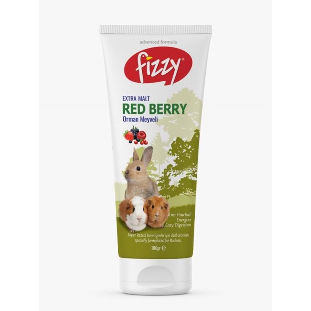 FİZZY KEMİRGEN RED BERRY PASTE 100gr