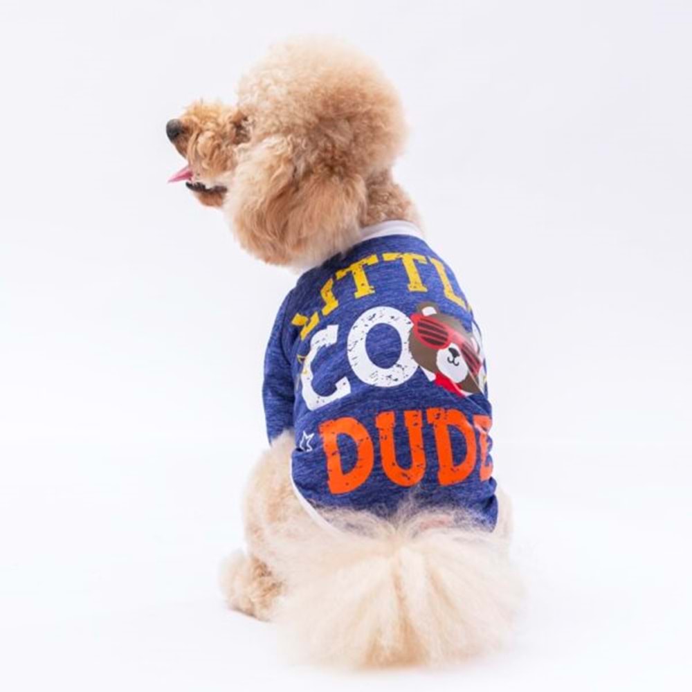 Mavi Dude Sweat