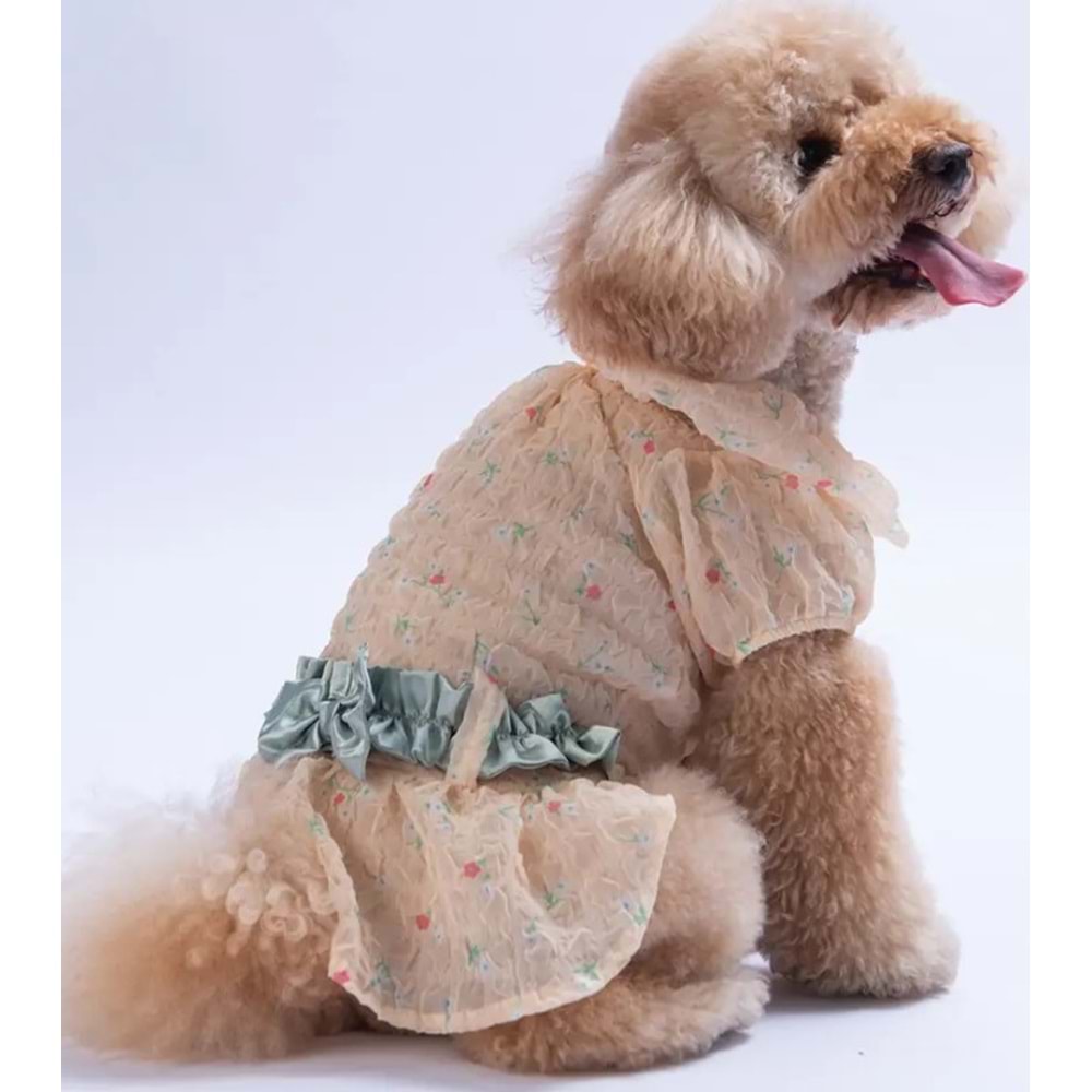 Sarı Valencia Elbise