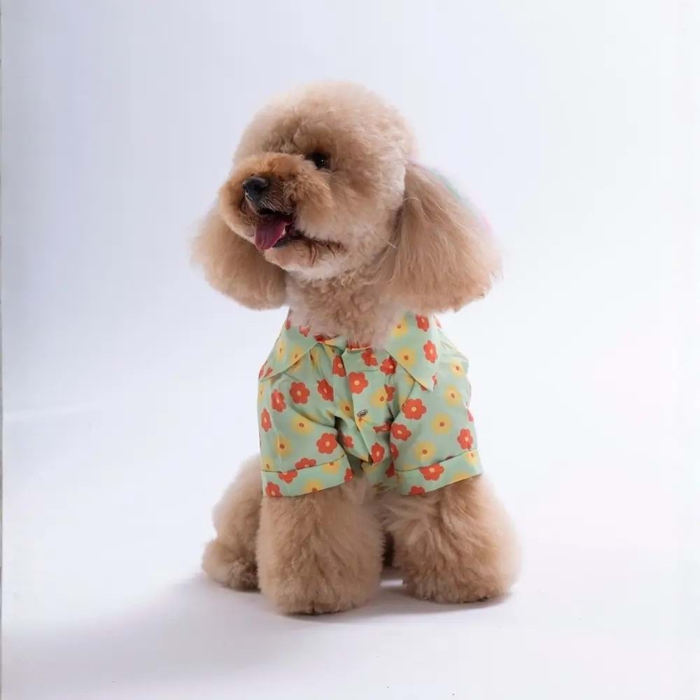 Pawstar Florelle Desenli Gömlek