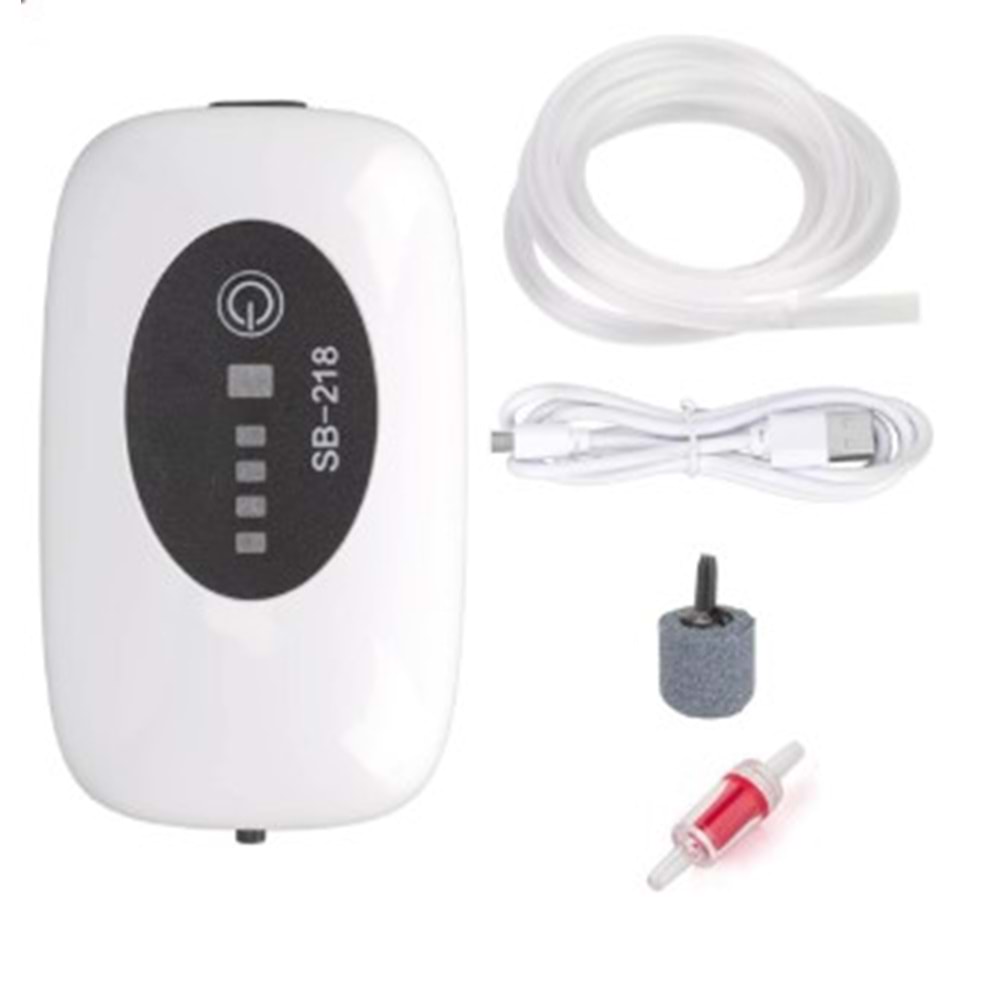 Sobo Hava Motoru Ac/Dc 1 W 3 Lt/Min