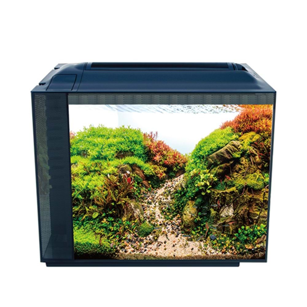 Anubias Pleco 55 Nano Akvaryum Siyah 55,5 x 29,5 x 44 Cm