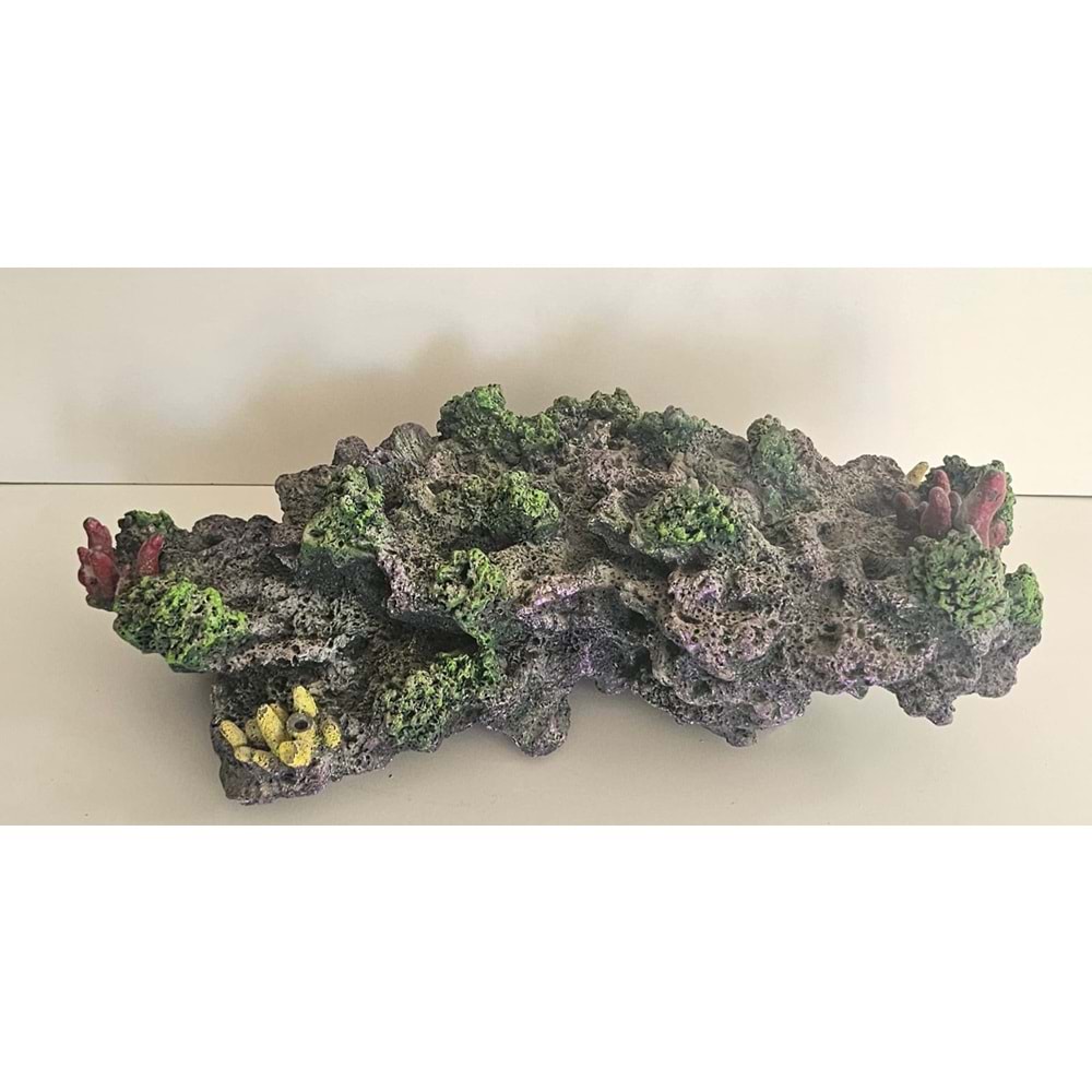 Resif Kayalık (Üst)