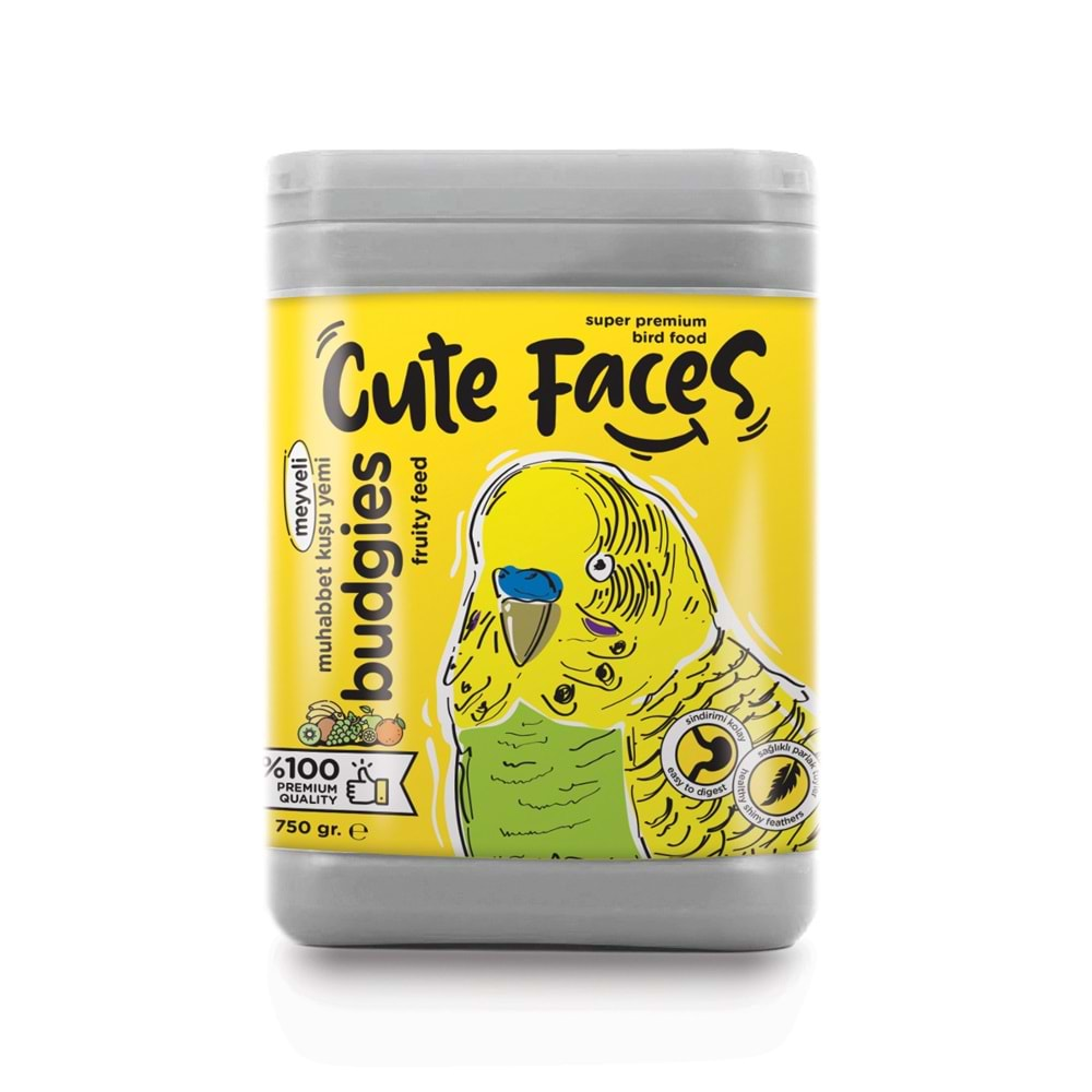 Cute Faces Meyveli Muhabbet Yemi 750 Gr