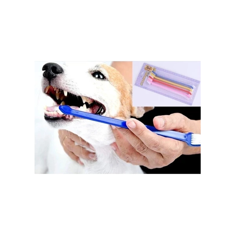 Çift Taraflı 4Lü Diş Fırçası