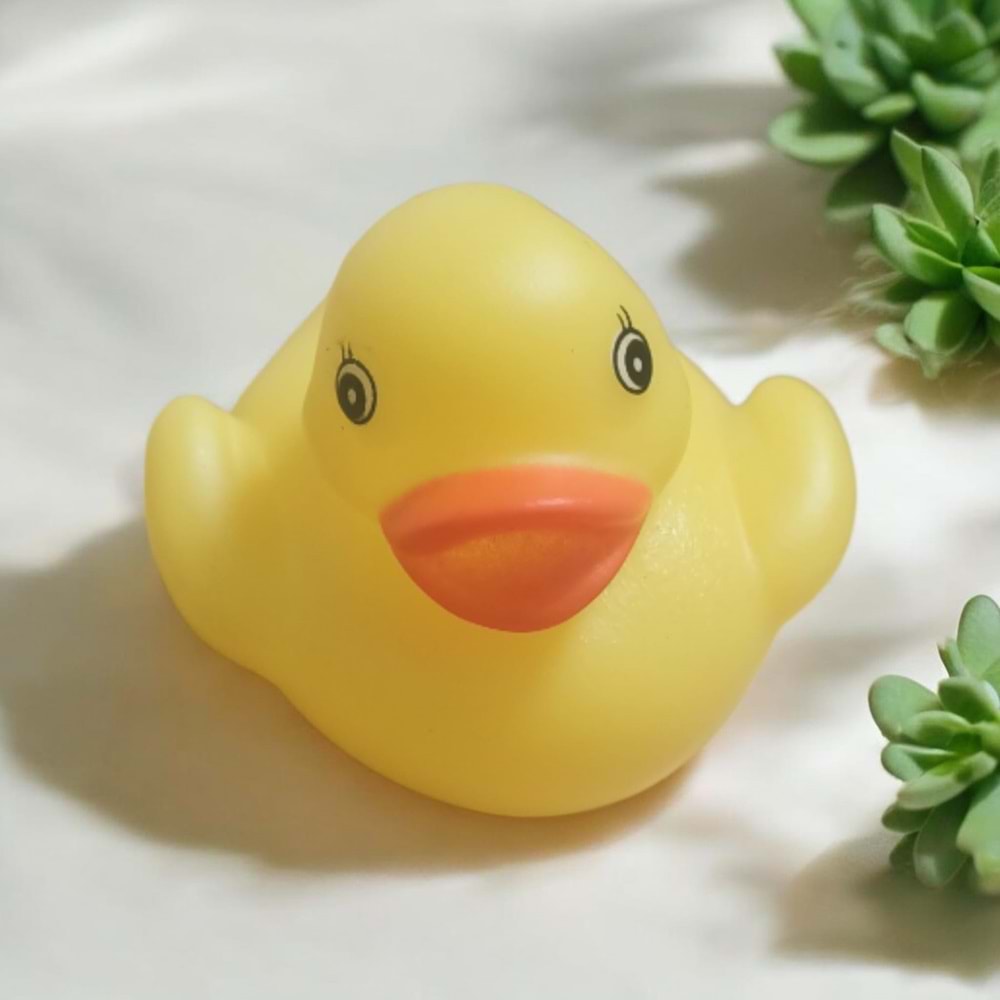 Sesli Ördek Oyuncak