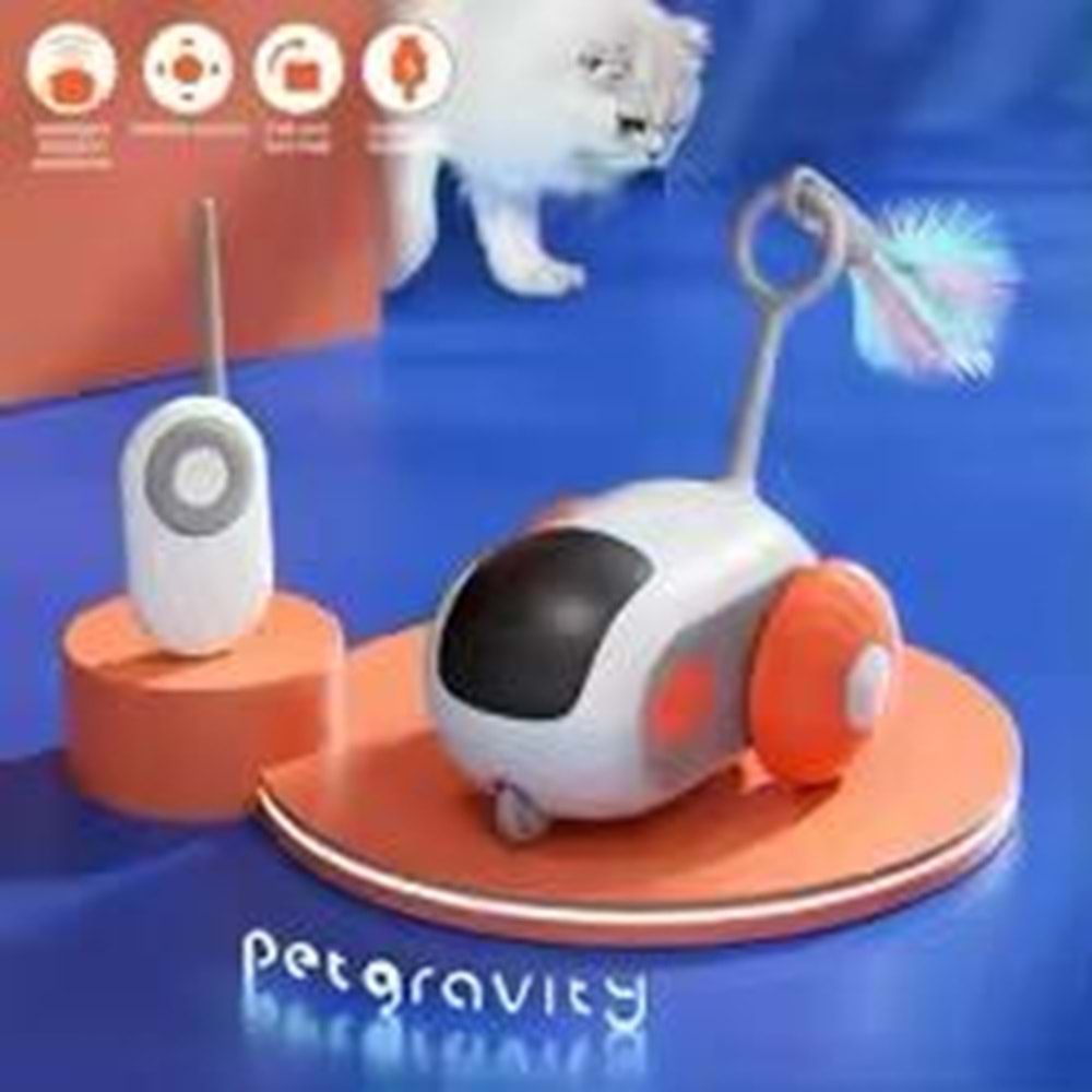 Kumandalı Kedi Fare Oyuncağı