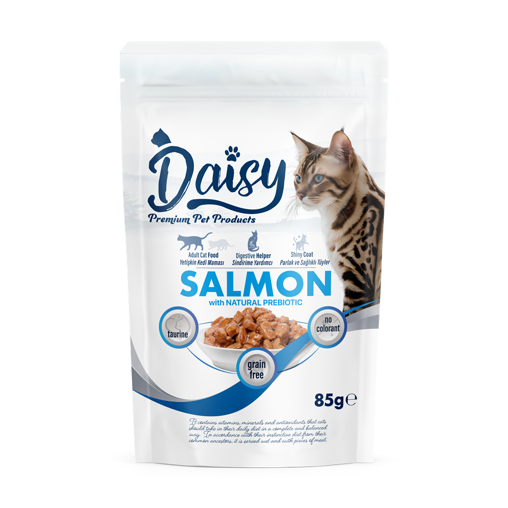 Daisy Somon Etli Jöleli Yetişkin Kedi Maması 85 GR