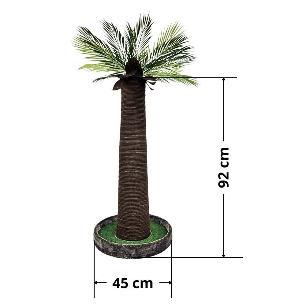 Palmiye Kedi Tırmalaması