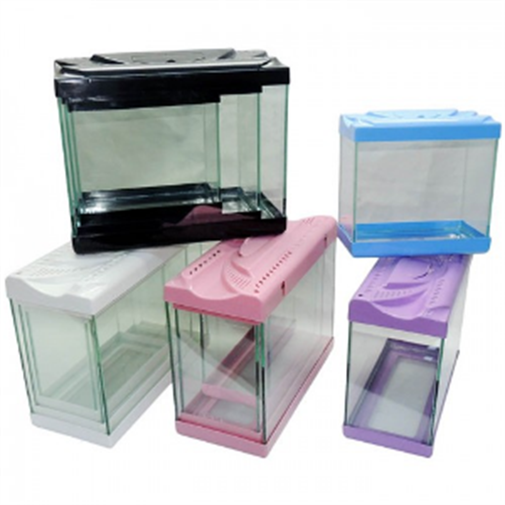 Renkli Akvaryum Seti 3 Lü Set (Toptan)