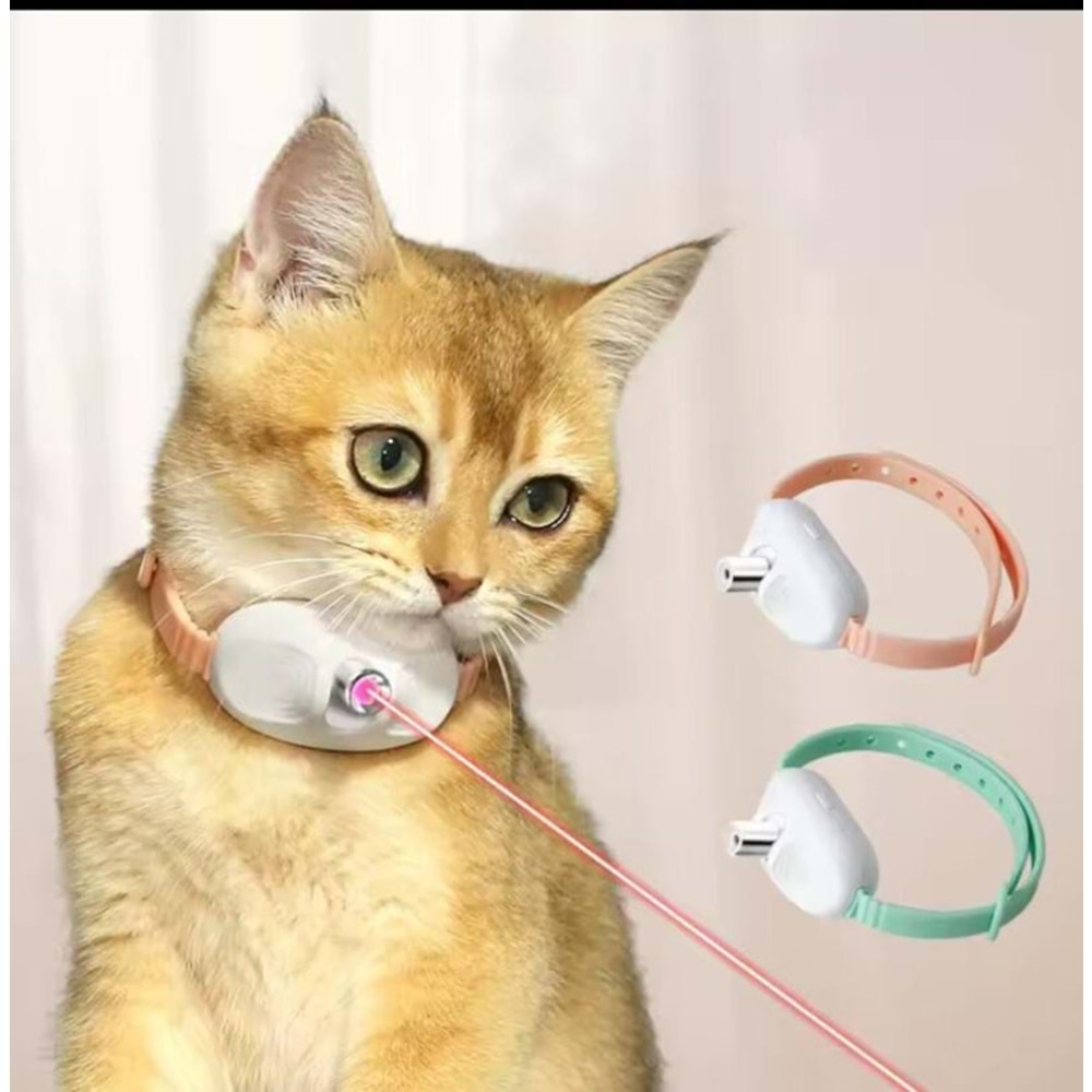 Lazerli Kedi Boyun Tasması