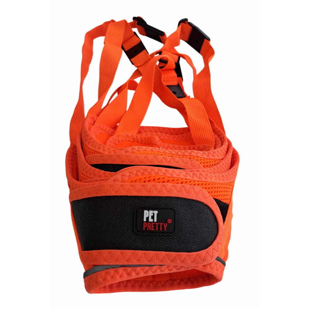 Petpretty Ağızlık Turuncu 5'Li Set