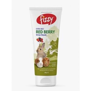 FİZZY KEMİRGEN RED BERRY PASTE 100gr