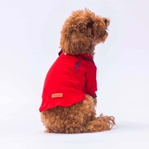 24816 Kırmızı Marine Polo Yaka Tişört