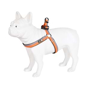 Al-003 Lüx İki Renk Göğüs Tasma (S) 1,50 Cm