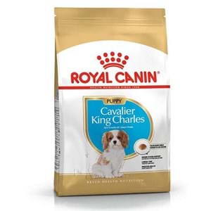 Royal Canin Puppy Cavalier King Charles Yavru Köpek Maması 1,5kg