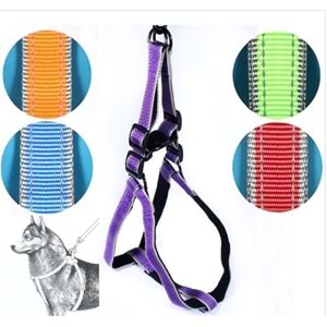 Ans Köpek Göğüs Tasma Seti 15 Kg