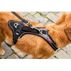 Curli Belka Göğüs Tasma XS 12-20 kg