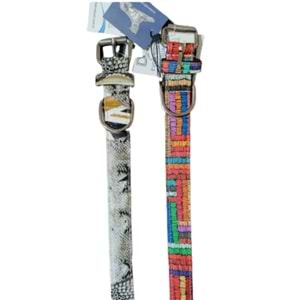 Desenli Köpek Boyun Tasması 3 Cm