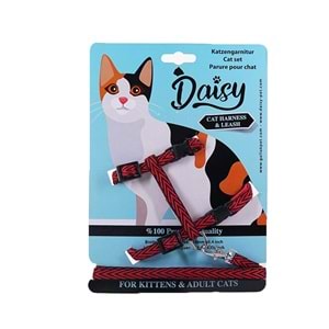 Daisy Kedi Takım Bel Tasması