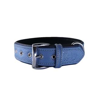 Daisy Flotter Deri Köpek Tasması XS-2cm Turkuaz-Laci