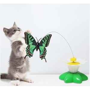 Evcil Hayvan Hareketli Kelebek Oyuncak