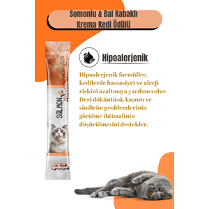 Nobılus Somon Ve Balkabaklı Kedi Krema Ödülü 5X15G