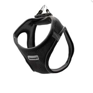 Zampa Air Mesh Kedi Köpek Göğüs Tasma XL Siyah