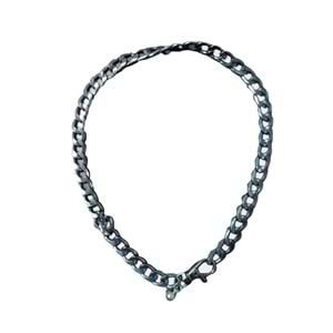 Daisy Zincir Kolye S (25 cm) PLATİN
