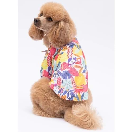 Miami Desenli Gömlek