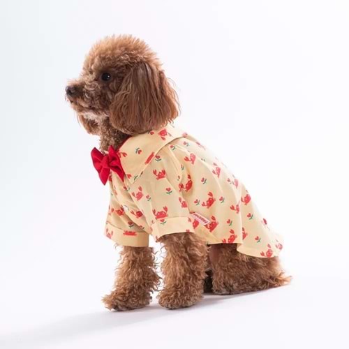 Pawstar Coral Charm Desenli Gömlek