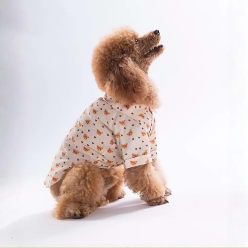 Pawstar Teddy Belle Desenli Gömlek