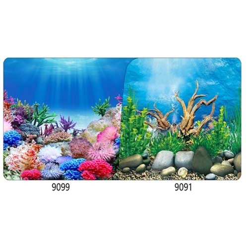 Plastik Poster Mercan&Bitki 50Cm