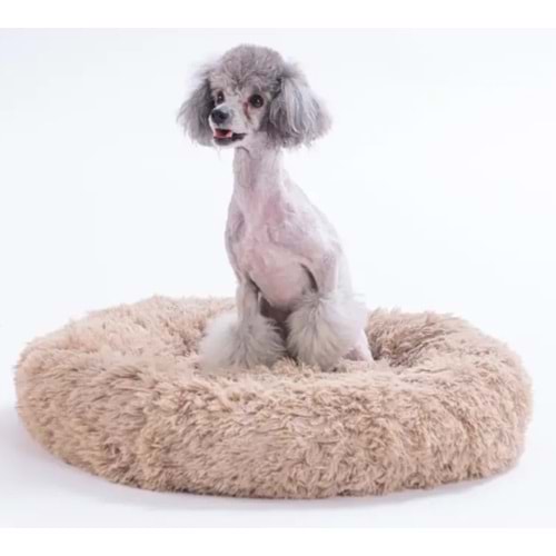 Bej Donut Kedi Köpek Yatağı-M