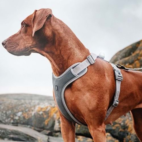 Nunbell Köpek Gögüs Tasmasi L
