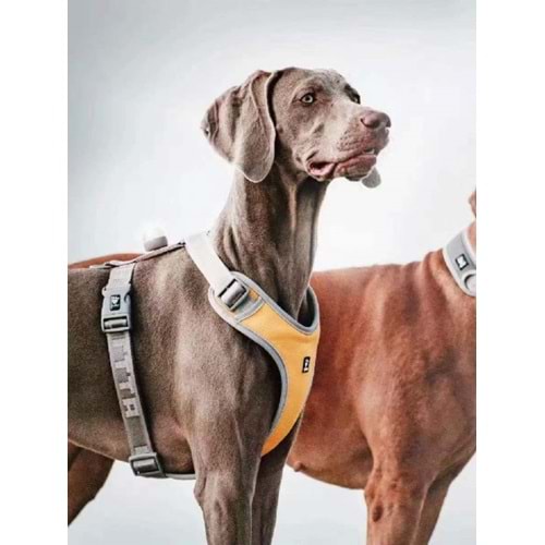 Nunbell Köpek Gögüs Tasması L