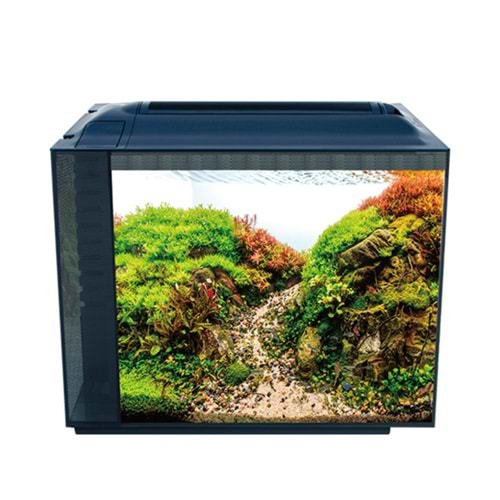 Anubias Pleco 55 Nano Akvaryum Siyah 55,5 x 29,5 x 44 Cm