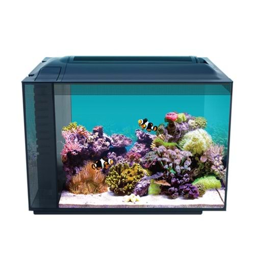 Anubias Evo-V8 55 Nano Marine Akvaryum Siyah 55,5 x 29,5 x 35 Cm