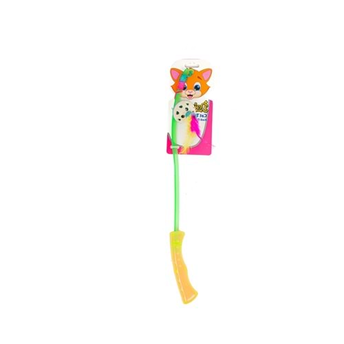 Daisy Kedi Olta