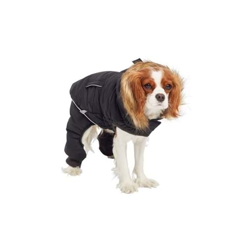 Gf Pet 4 Ayaklı İçi Polarlı Mont Siyah S