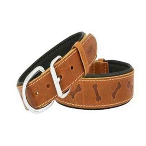 Doggie Deri Köpek Boyun Tasması 2,5X50Cm