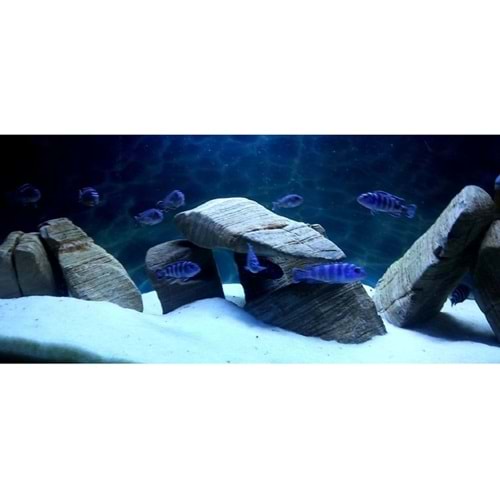 Reeflowers Akvaryum Kumu Beyaz 1 kg