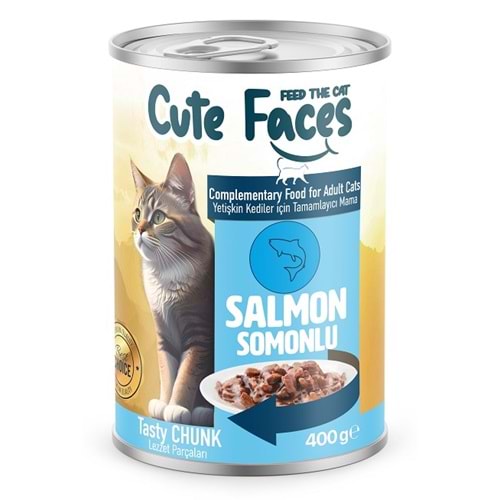 Cute Faces Adult Cat Salmon Sos İçinde Et Parçacıklı 400 Gr X 12 Adet Konserve