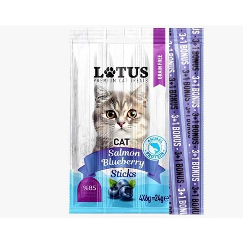 Lotus Salmon Blueberry Sticks 4x6 Gr 24GR