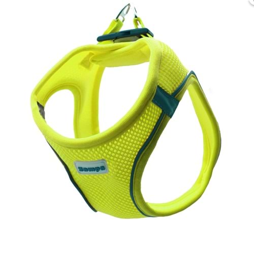 Zampa Air Mesh Kedi Köpek Göğüs Tasma Neon