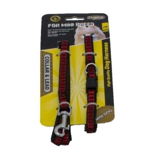 Dog Life 25-37 Cm Boyun Ve Gezdirme Tasma