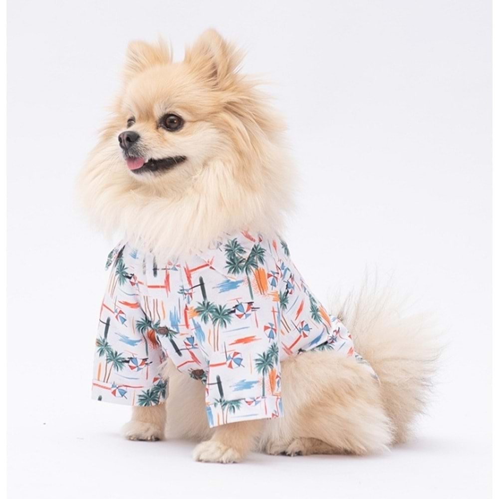 Pawstar Palm Beach Desenli Gömlek