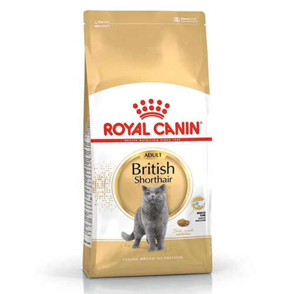 Royal Canin Fbn Brit Shorthair 4K