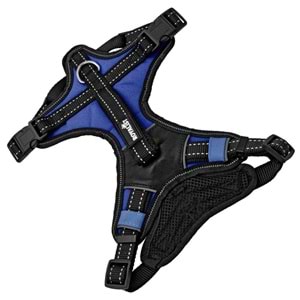 Royalıst Sll301 ( Xl ) Köpek Yeleği