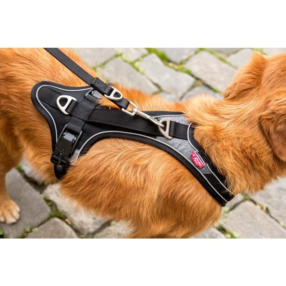 Curli Belka Göğüs Tasma XS 12-20 kg